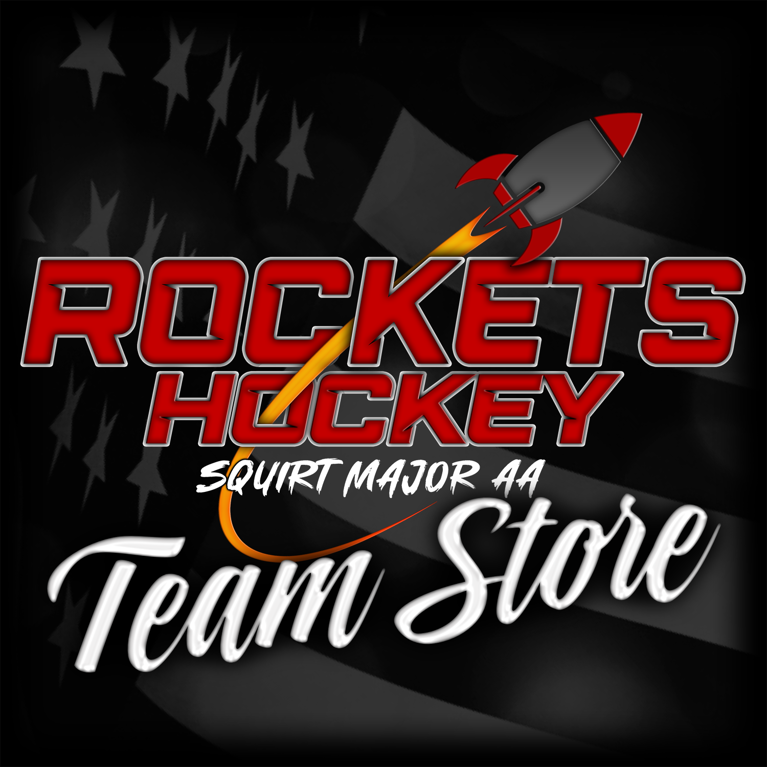 2014 ROCKETS HOCKEY