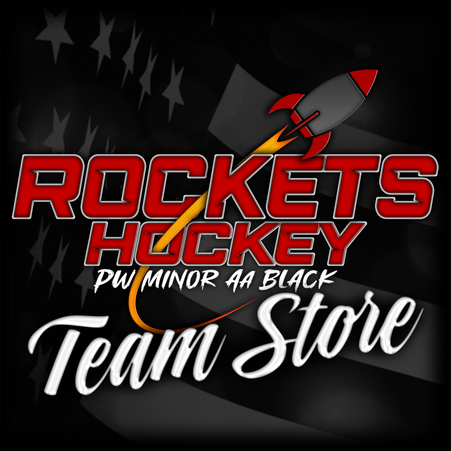 2013 ROCKETS HOCKEY